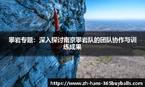 365买球官方网站